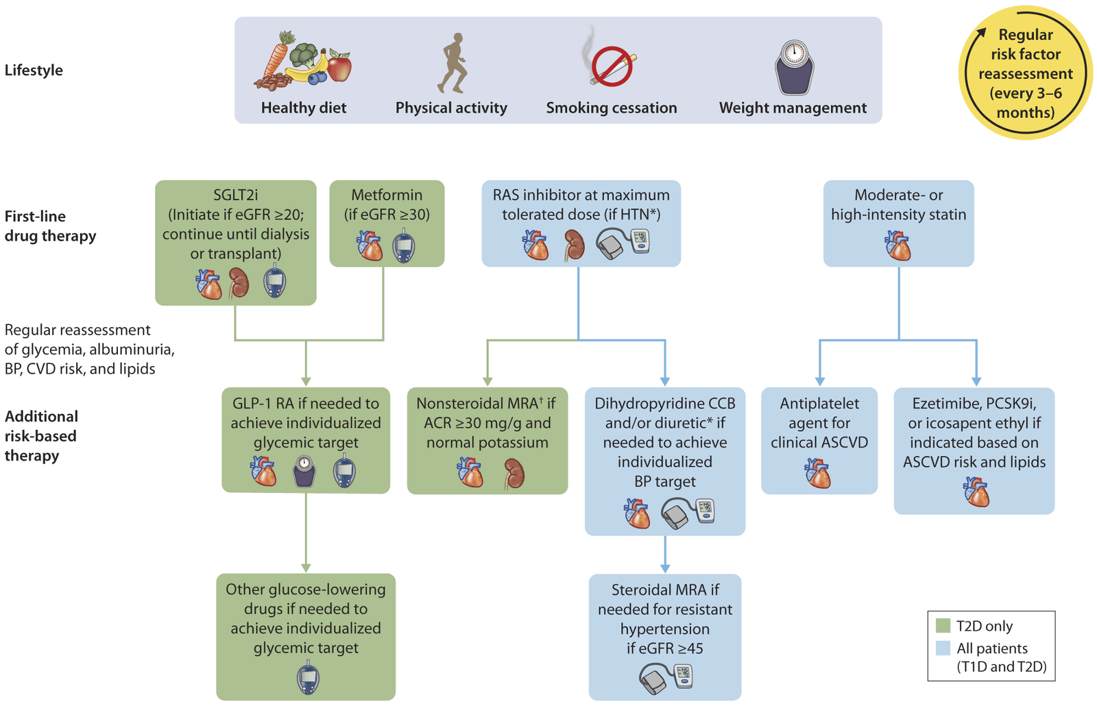 Chronic Kidney Disease and Risk Management: Standards of Care in Diabetes—2024